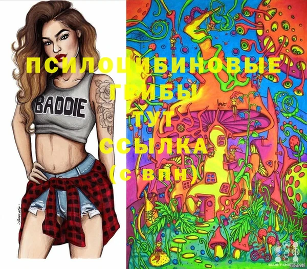 марки nbome Алзамай