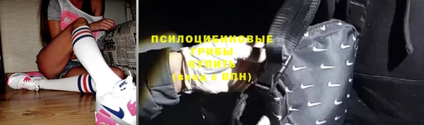 спайс Алексин