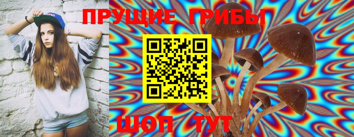 Галлюциногенные грибы GOLDEN TEACHER Сосновый Бор