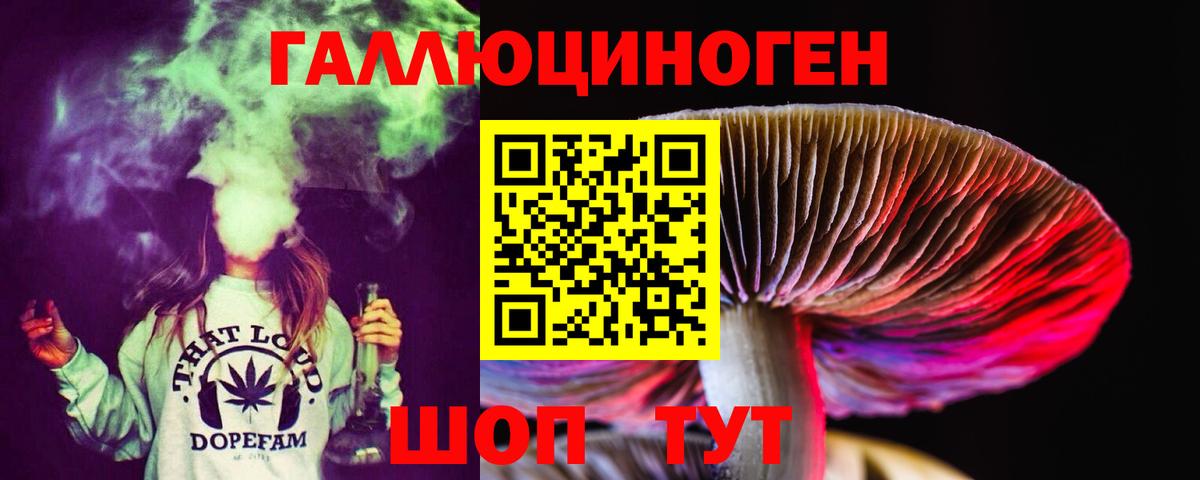 Сосновый Бор  Псилоцибиновые грибы мухоморы  Вход с VPN 