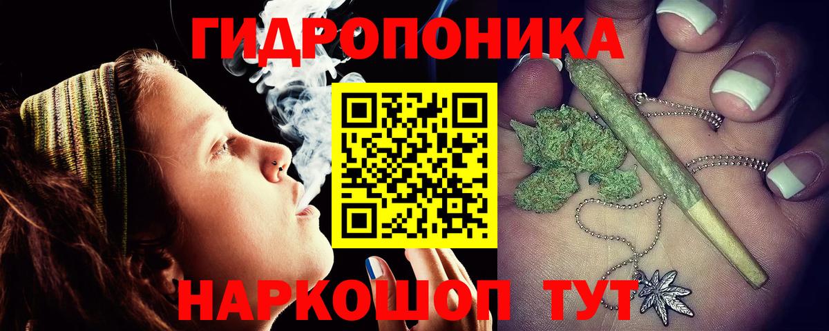 Сосновый Бор  Бошки марихуана Bruce Banner  Вход с VPN  Бошки Шишки Amnesia  Конопля конопля  Каннабис марихуана 